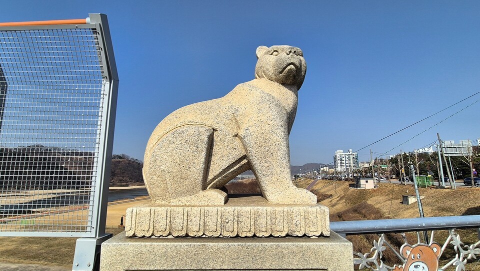 공주에는 곰(熊)이 몇 마리 살고 있을까?④