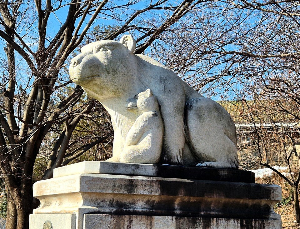 공주에는 곰(熊)이 몇 마리 살고 있을까?④
